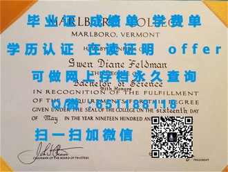 《南洋理工学院文凭：揭开其教育质量与全球认可度的神秘面纱》