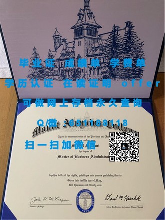 《新加坡国立大学文凭：开启国际视野的敲门砖》