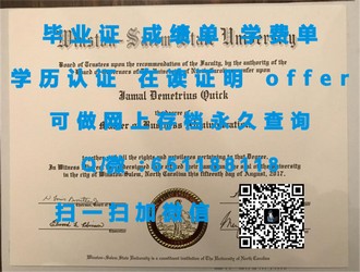 《南安普顿索兰特大学文凭：开启您国际教育新篇章的关键凭证》