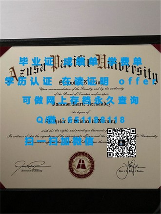 新加坡管理发展学院文凭：解锁全球认可的职场通行证
