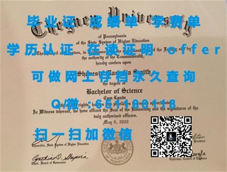 《威尔士大学文凭：开启国际学术视野的通行证》