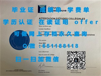 《斯旺西大学文凭：开启你的国际学术之旅，成就非凡未来》