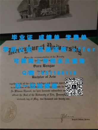 《梅西大学文凭：解锁全球认可的教育品质与无限可能》