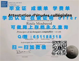《斯特兰米尔斯大学文凭：开启国际化教育新篇章的秘密武器》