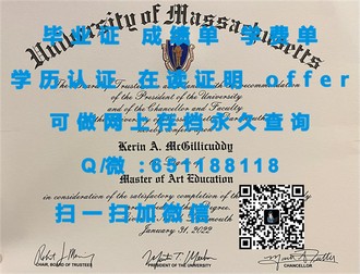 《阿比蒂彼特米斯卡学校文凭：揭秘全球顶尖教育机构的卓越证书》