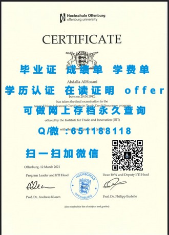 《新加坡共和理工学院文凭：开启职业生涯的关键桥梁》