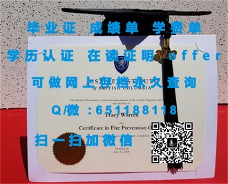 《新加坡管理大学文凭：开启职场精英之路的敲门砖》