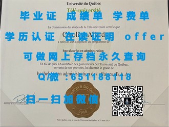《奥塔哥理工学院文凭：成就未来精英的全球认可证书》
