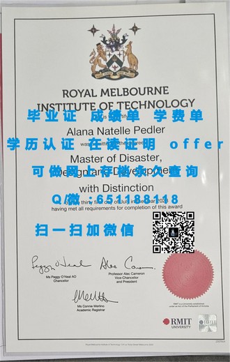 《怀卡托理工学院文凭：开启你的国际教育之旅》