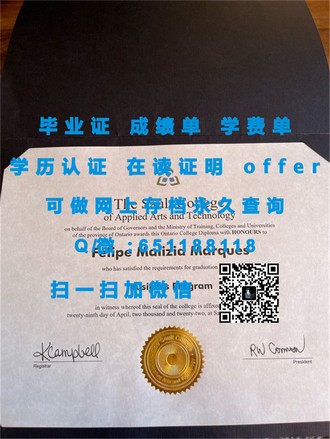 《女王大学文凭：揭秘世界顶尖学府的荣耀与成就》