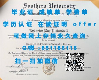 瑞尔森大学文凭：解锁未来职场竞争优势的秘密武器