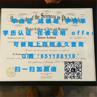 马努考理工学院文凭：揭秘该院校学历的价值与认可度