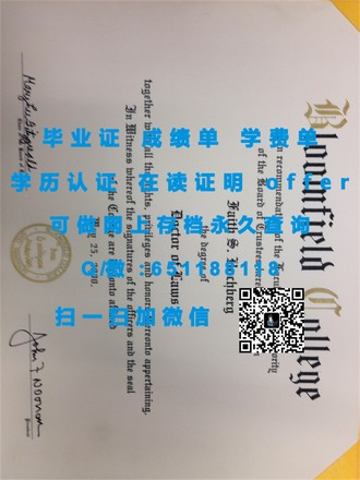 《阿比蒂彼特米斯卡学校文凭：揭秘全球顶尖学府的卓越教育成就》