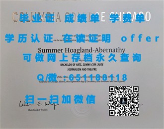 《西安大略大学文凭：全球认可的学术荣耀，开启无限可能的大门》