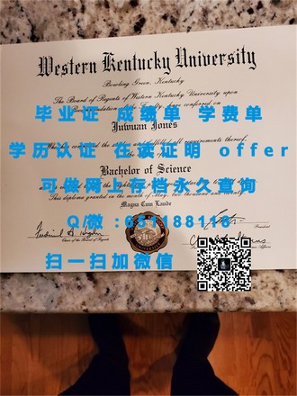 《安大略艺术设计学院文凭：培养未来视觉艺术巨匠的摇篮》
