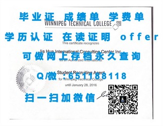 《安大略艺术设计学院文凭：塑造未来设计师的摇篮，开启艺术教育新篇章》