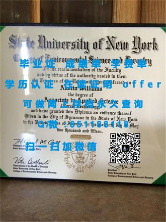 《百年理工学院文凭：揭秘百年学府的辉煌成就与卓越教育品质》