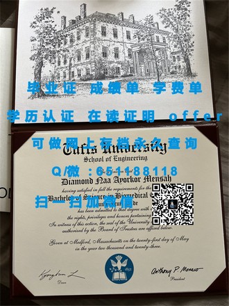 《英属哥伦比亚大学文凭：开启未来职场大门的黄金钥匙》