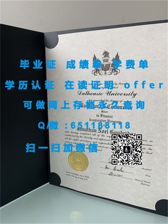 《利默里克大学文凭：开启您未来职业大门的敲门砖》