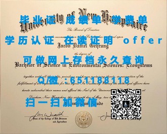 《英属哥伦比亚理工学院文凭：开启未来科技人才的黄金钥匙》
