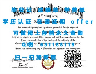 《意大利比萨大学文凭：开启学术与艺术的完美融合之旅》