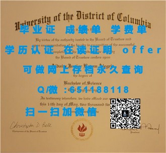 《都柏林城市大学文凭：揭开全球认可的学术成就之路》
