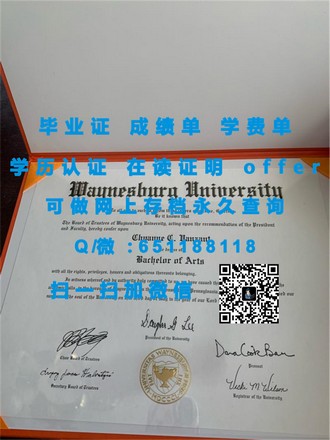利默里克大学文凭：解锁国际认可的学术成就与未来职业前景