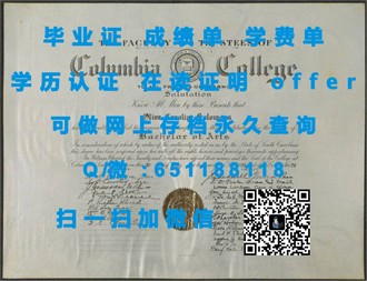 《新加坡共和理工学院文凭：开启你的国际教育之旅》