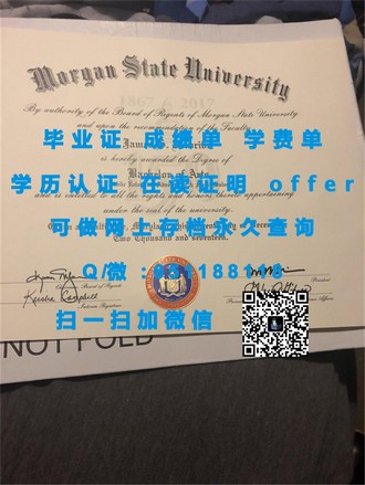 《南洋理工学院文凭：开启你留学海外的金钥匙，成就国际精英之路》