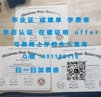 《新加坡管理大学文凭：解锁国际教育成就的黄金钥匙》