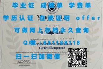 《麦考瑞大学文凭:开启国际视野的留学新选择,你的未来从此不同!》