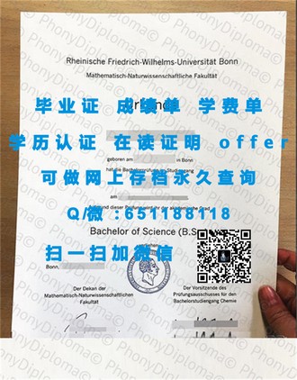 《伯明翰大学文凭：开启你的学术之旅，成就非凡未来》