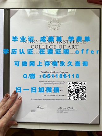 《南安普顿大学文凭：开启国际化视野的教育通行证》
