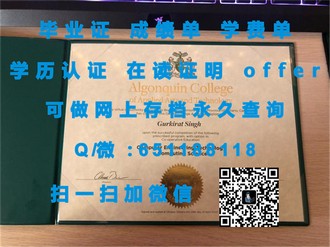 《中央昆士兰大学文凭：开启你未来国际职场的黄金钥匙》