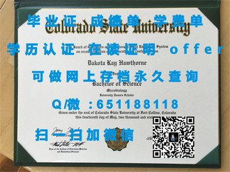 《阳光海岸大学文凭：开启职业生涯的黄金钥匙，让你在全球职场熠熠生辉》