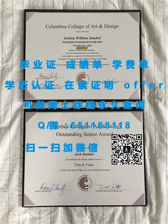 《南洋理工大学文凭：全球认可的学术荣耀，开启你的国际职业生涯》