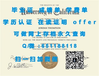 《新加坡管理大学文凭：开启国际职场精英之路的黄金钥匙》