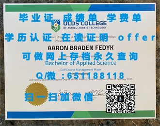 《新加坡国立大学文凭：解锁国际化教育的敲门砖》