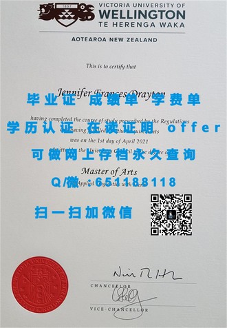 波士顿学院文凭：开启未来职场精英之路的通行证