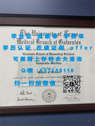 《伦敦商学院文凭：职场精英的敲门砖，开启国际商业之旅》
