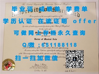 《爱尔兰卡罗理工学院文凭：培养未来行业领袖的教育摇篮》