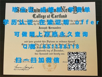 《新英格兰大学文凭：开启职场新篇章，成就全球精英梦》