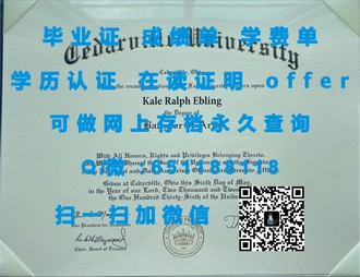 《南十字星大学文凭：揭秘全球认可的学历，开启无限可能》