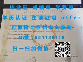 《剑桥大学文凭：开启全球精英教育之门，成就非凡人生》