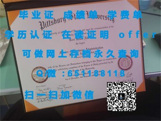 《利兹大学文凭：开启你的全球学术之旅》