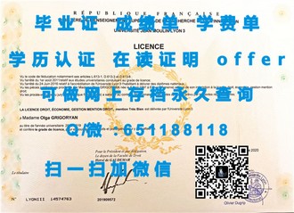 《诺丁汉大学文凭：开启全球认可的教育之门》