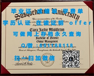 《约克大学文凭：开启学术与职业成功的钥匙》