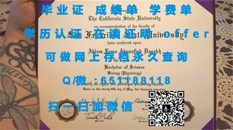 《伦敦城市大学文凭：开启全球认可的教育之旅》