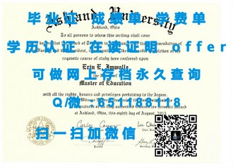 亨里管理学院文凭：揭秘全球顶尖商学院的卓越认证与职业价值