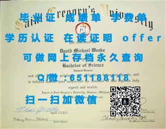 新加坡国立大学文凭：解锁世界级教育的敲门砖